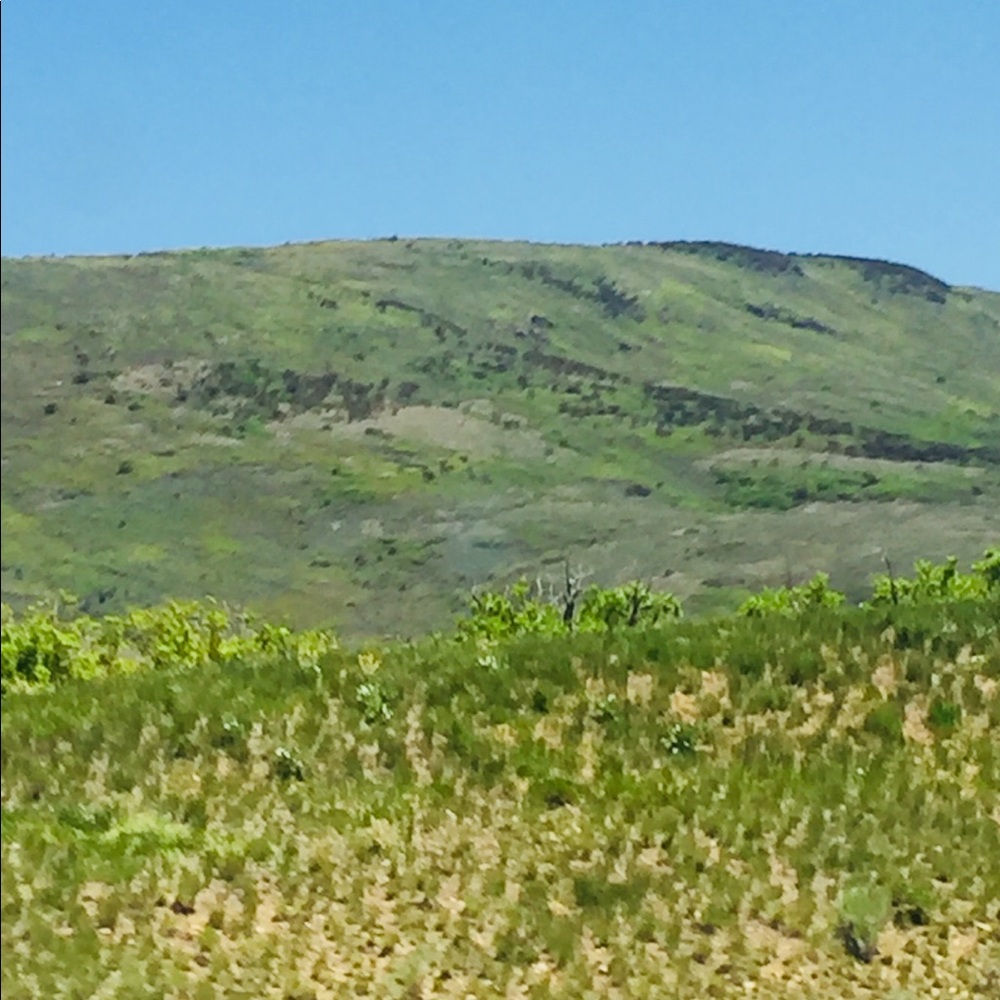 Meet your Posher, Isabel